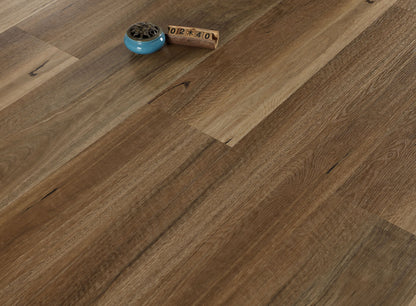 QUEENSLAND SPOTTED GUM