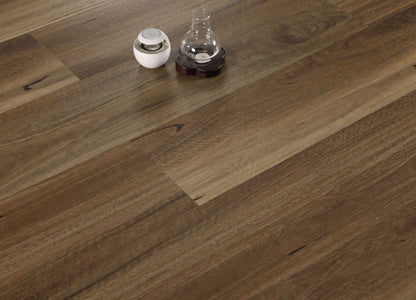 QUEENSLAND SPOTTED GUM