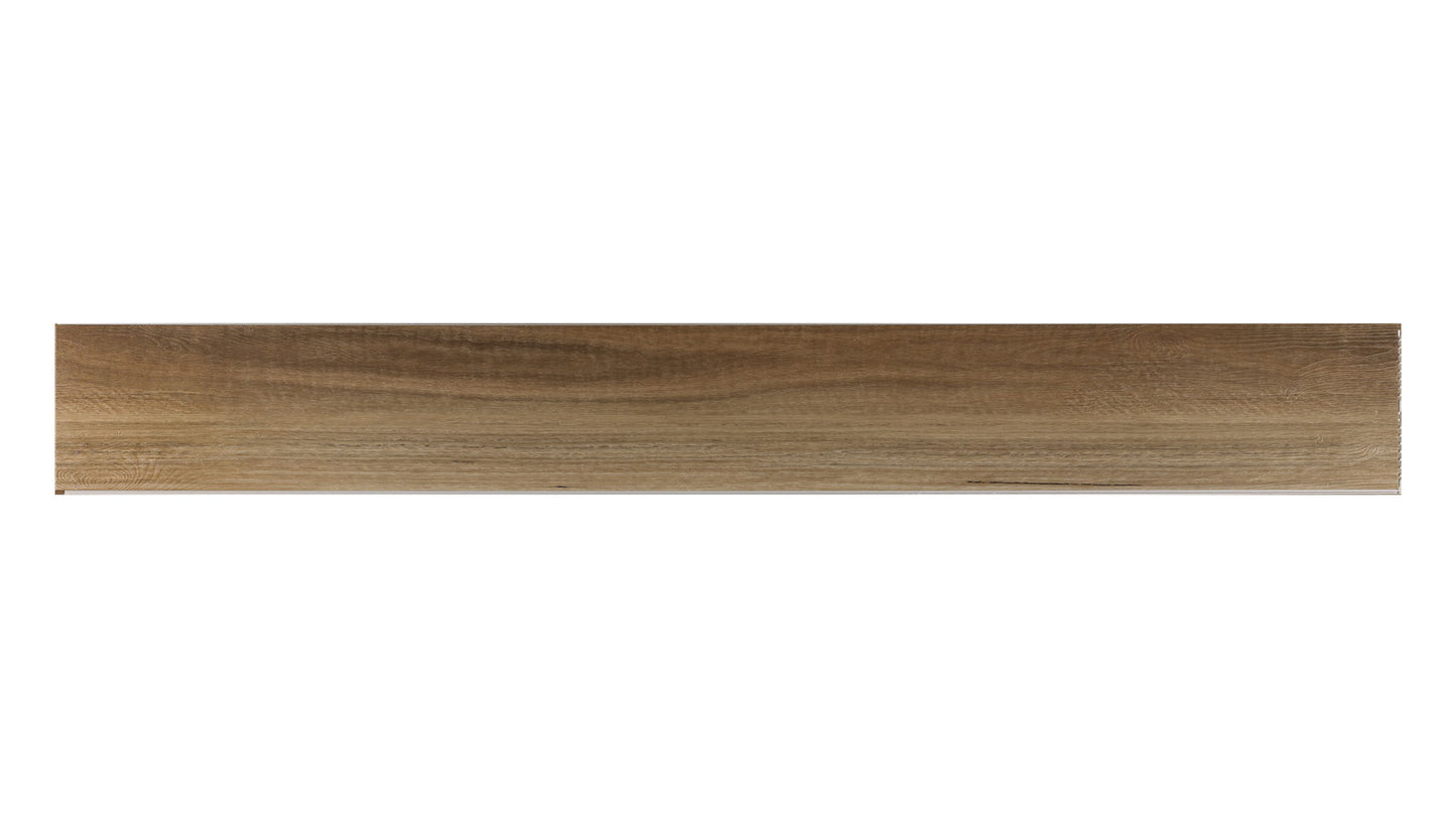 QUEENSLAND SPOTTED GUM