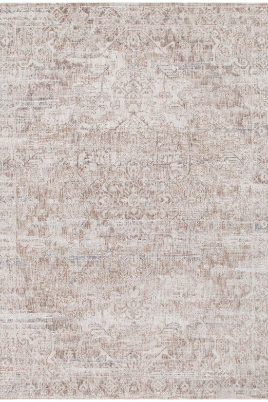 Solenne Beige & Blue Distressed Vintage Rug - S100