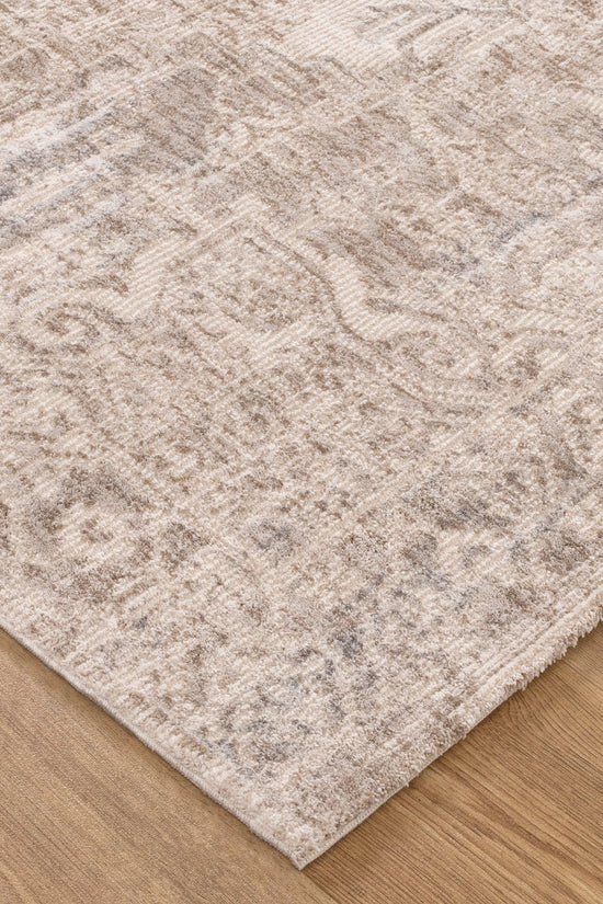 Solenne Beige & Blue Distressed Vintage Rug - S100