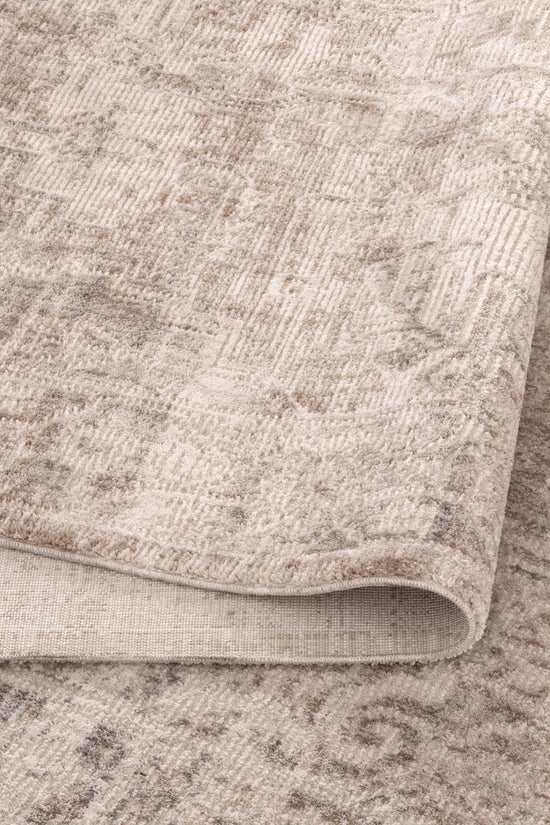 Solenne Beige & Blue Distressed Vintage Rug - S100