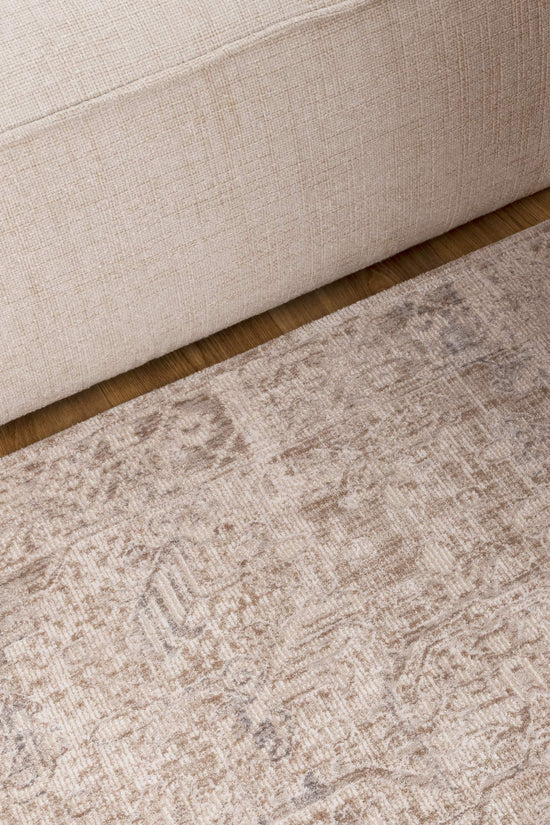 Solenne Beige & Blue Distressed Vintage Rug - S100