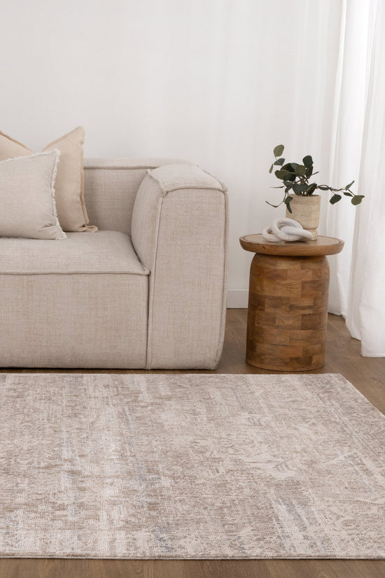 Solenne Beige & Blue Distressed Vintage Rug - S100