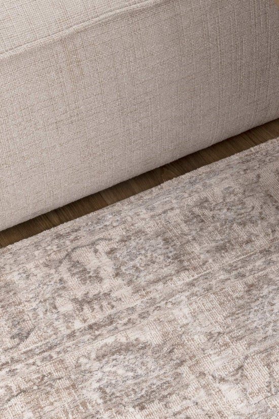 Solenne Beige & Blue Transitional Rug - S300