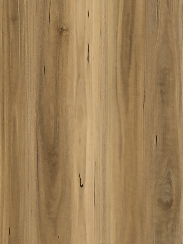 SPOTTED GUM