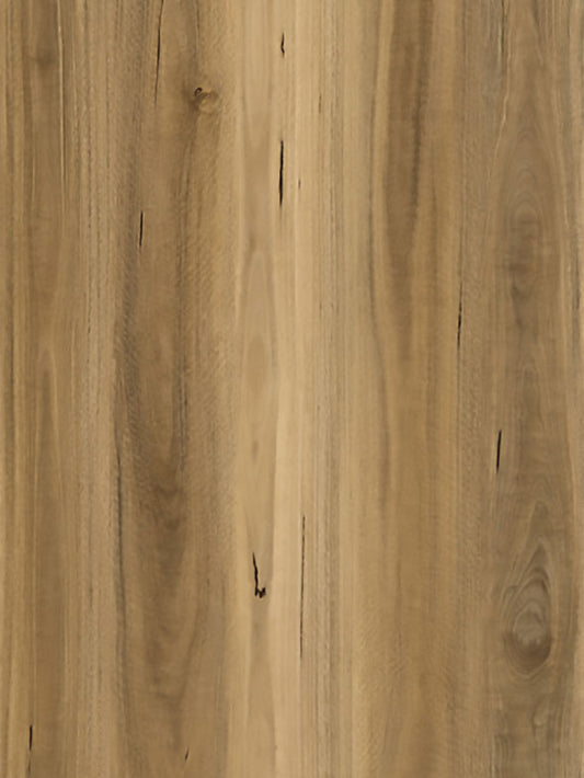 SPOTTED GUM