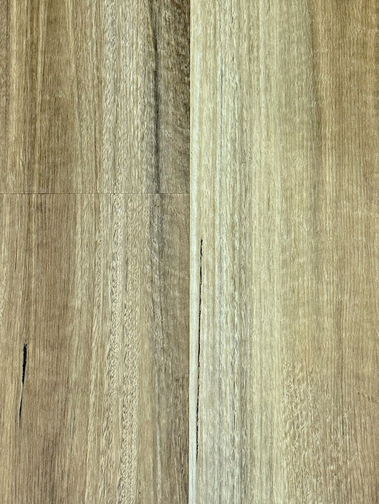 SPOTTED GUM