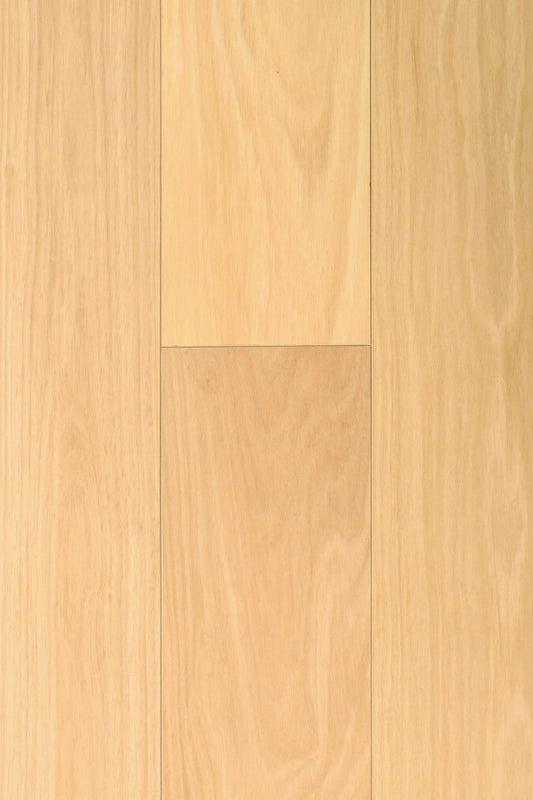 Blackbutt P&H