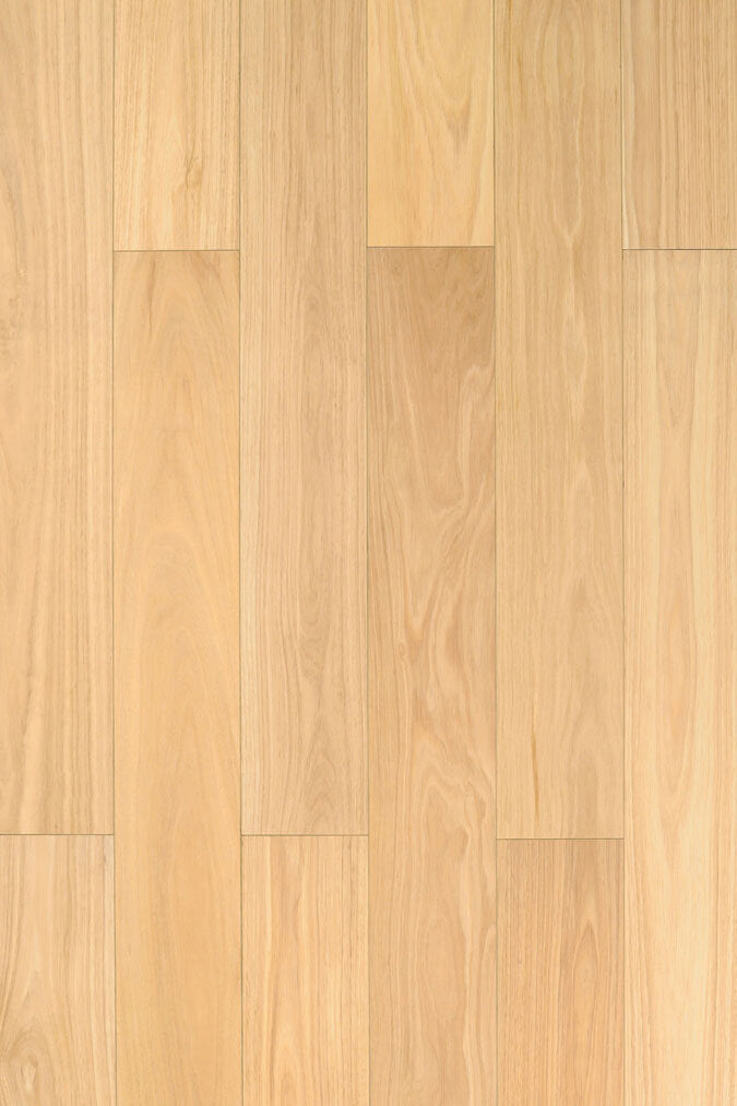 Blackbutt P&H