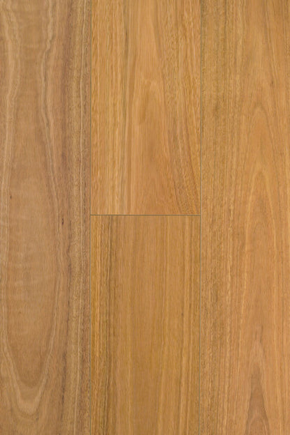 Spotted Gum P&H