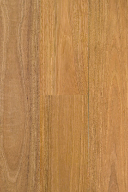 Spotted Gum P&H