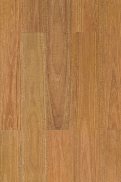 Spotted Gum P&H