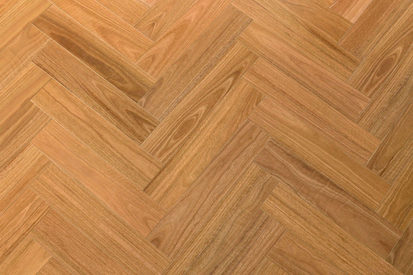 Spotted Gum P&H