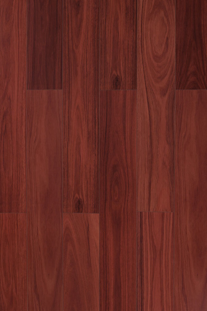 Jarrah