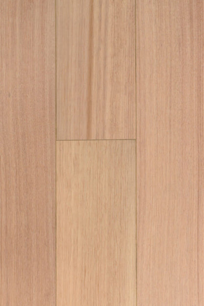 Tas Oak