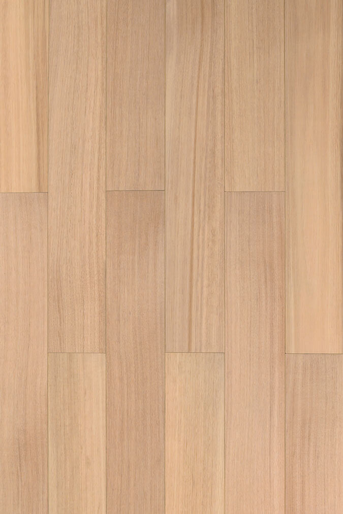 Tas Oak